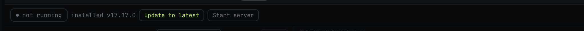 Frida server controls